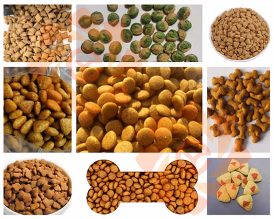 Linha de produção de ração seca para cães de alta produção para animais de estimação Extrusora flutuante para ração de peixe Máquina de processamento de pellets